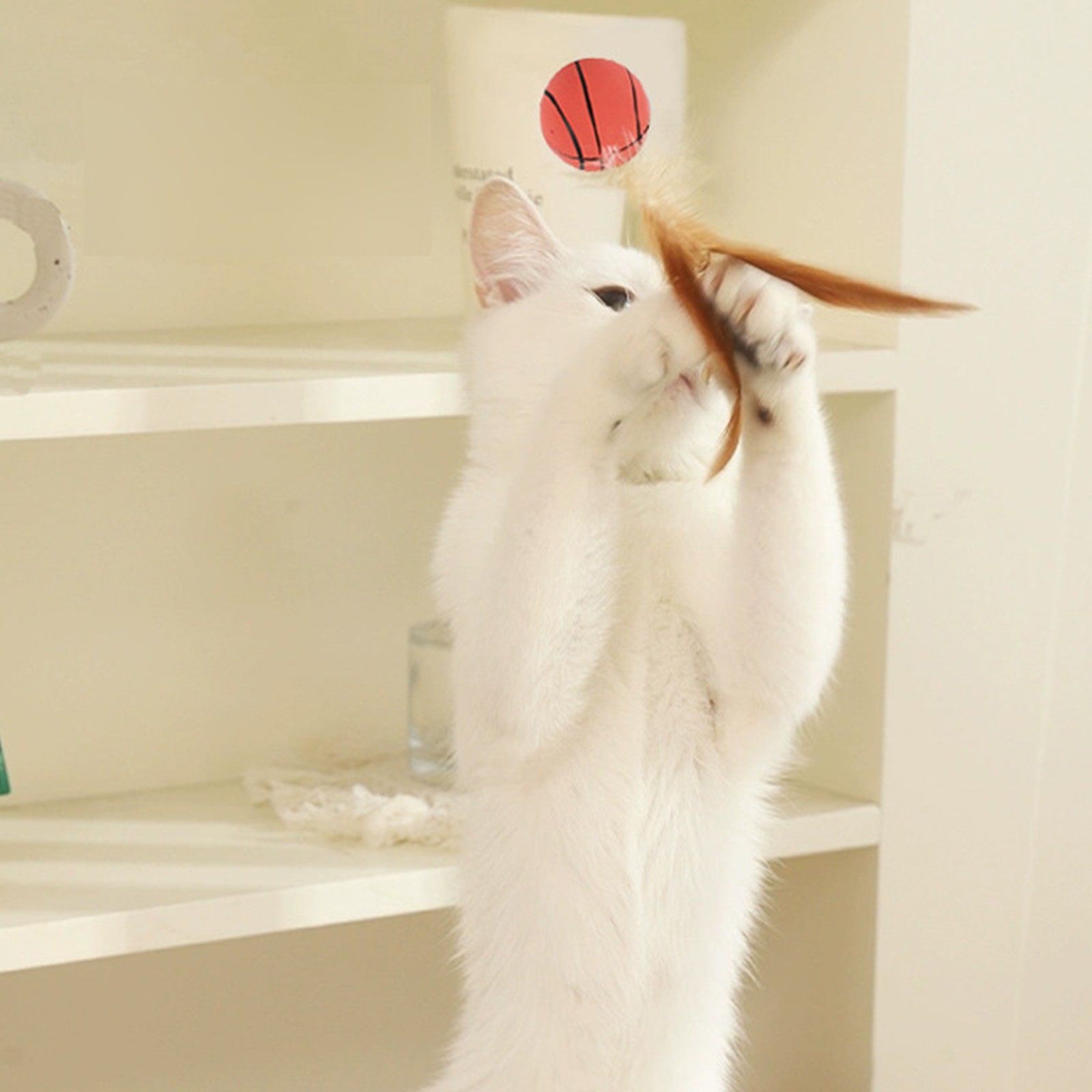 Kedi Tüy Topu Oyuncaklar Inter - Basketball Arcade Game incelemesi ve fiyatı